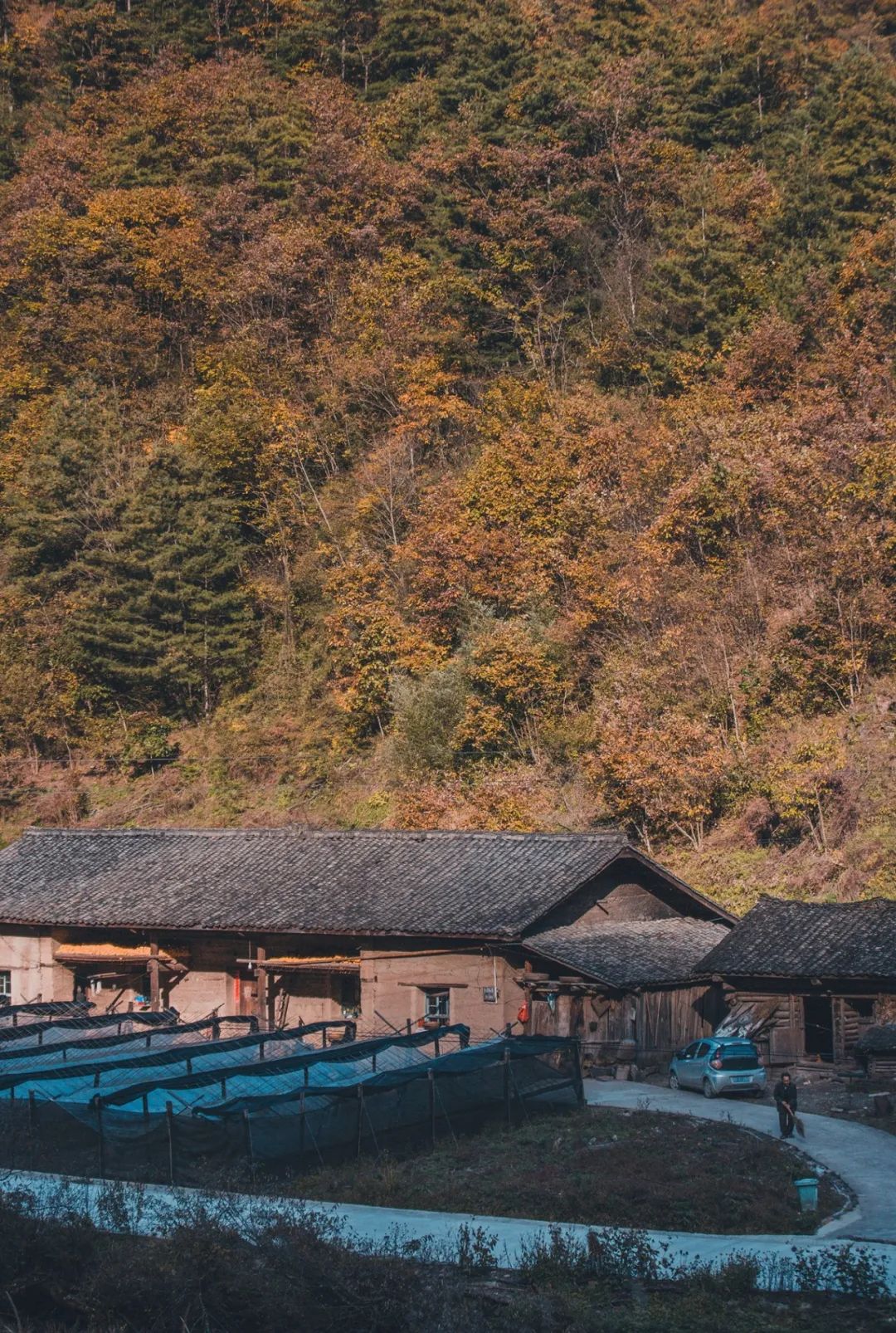 留坝紫柏山旅游攻略_留坝紫柏山国家森林公园旅游_留坝紫柏山森林公园电话