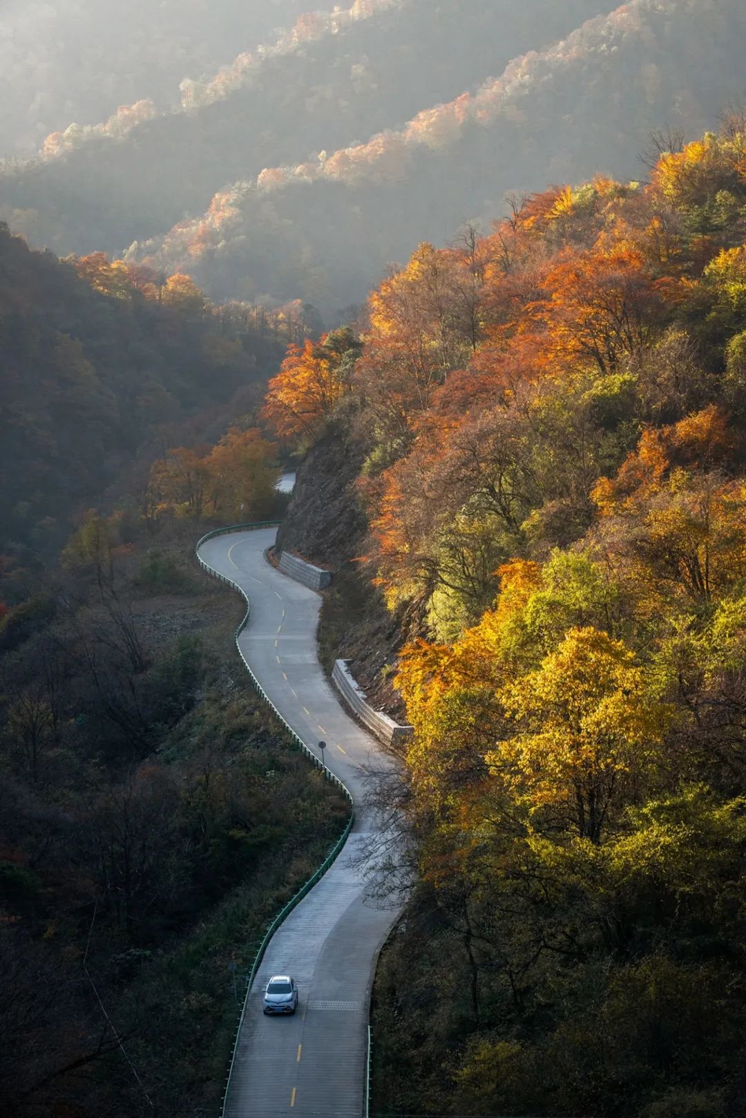 留坝紫柏山旅游攻略_留坝紫柏山森林公园电话_留坝紫柏山国家森林公园旅游