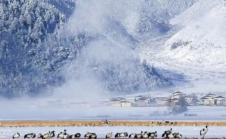 云南香格里拉攻略自助游攻略_云南香格里拉旅游攻略 网_云南香格里拉游玩攻略