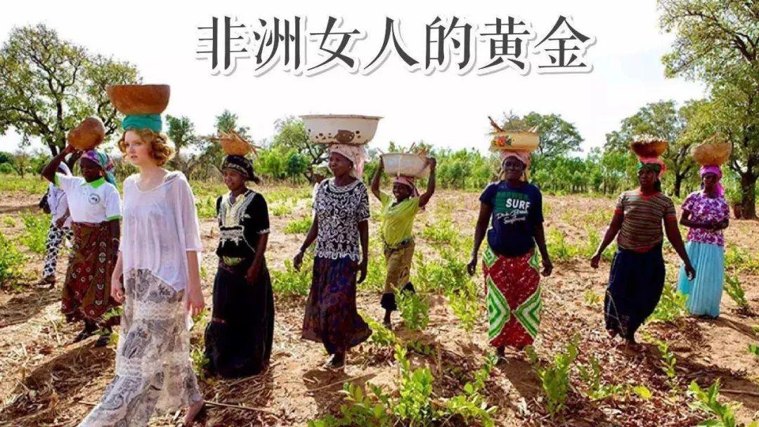 打底衫时尚批发拿货_打底衫女批发市场_打底衫批发网