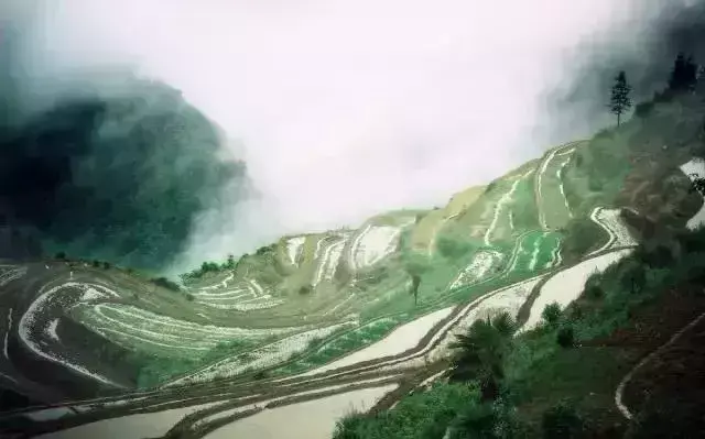 仙寓山民宿_仙寓山农家乐包吃住多少钱_仙寓山旅游攻略