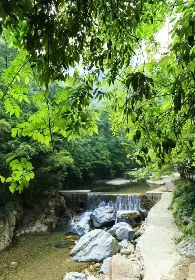 仙寓山农家乐包吃住多少钱_仙寓山民宿_仙寓山旅游攻略