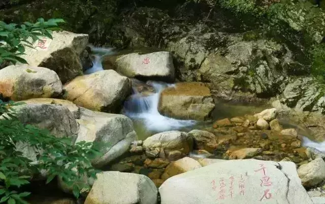 仙寓山农家乐包吃住多少钱_仙寓山旅游攻略_仙寓山民宿