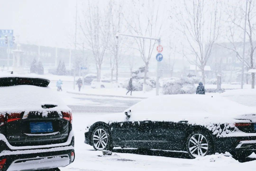 普者黑坝美自助游攻略_坝美普者黑旅游攻略_普者黑和坝美哪个好玩