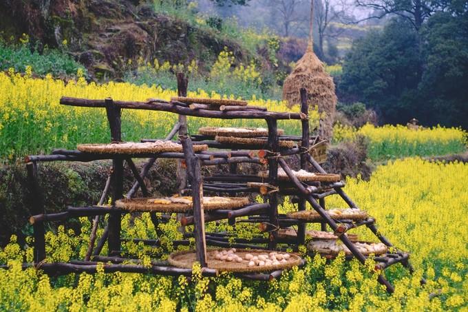 江西龙虎山到庐山有多少公里_合肥到江西龙虎山旅游攻略_江西龙虎山怎么走