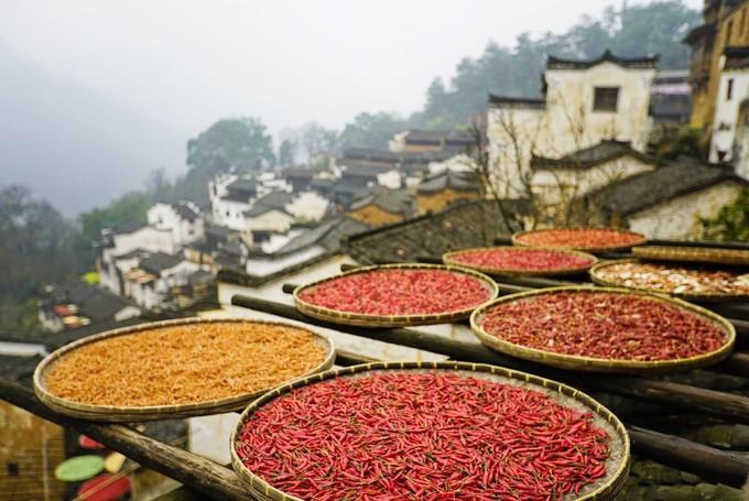 合肥到江西龙虎山旅游攻略_江西龙虎山到庐山有多少公里_江西龙虎山怎么走