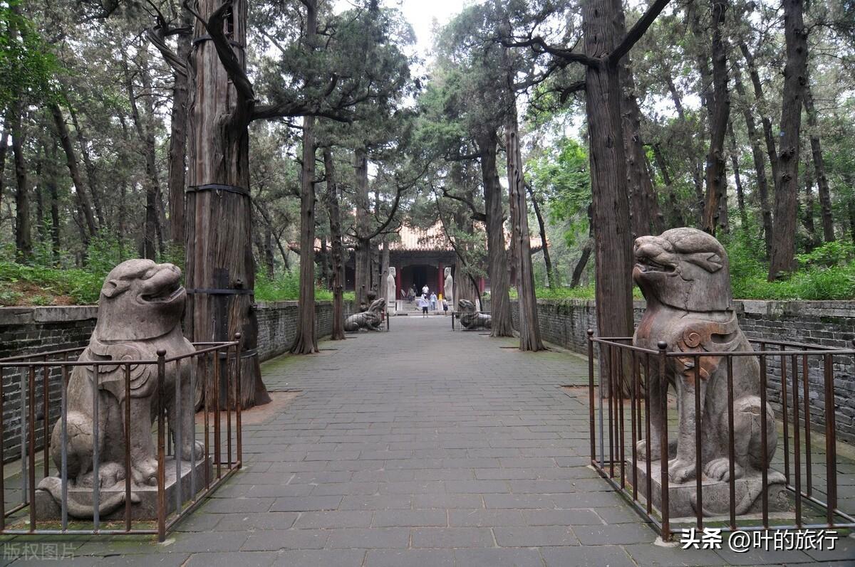 曲阜孔庙旅游攻略一日游_曲阜旅游景点孔庙多少钱门票_曲阜孔庙旅游攻略