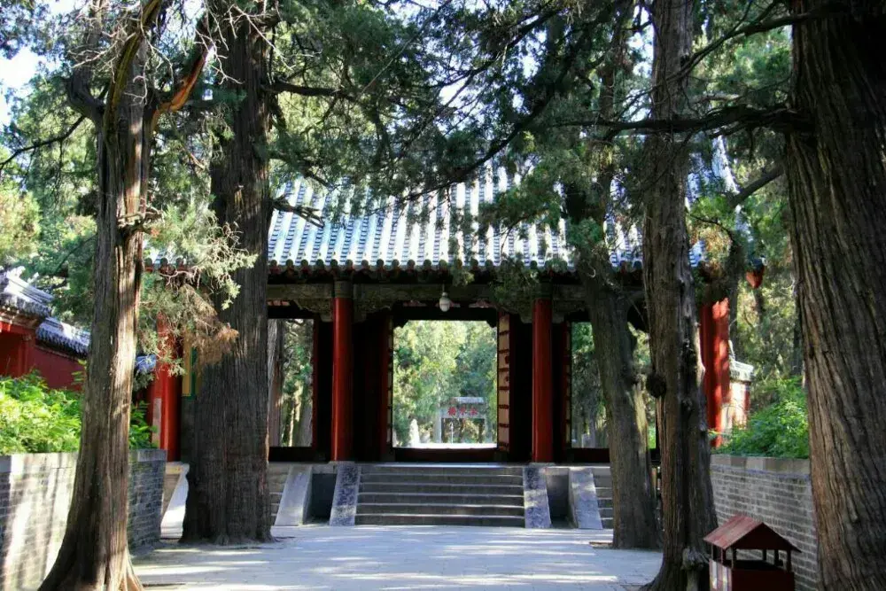 曲阜旅游景点孔庙多少钱门票_曲阜孔庙游玩攻略_曲阜孔庙旅游攻略