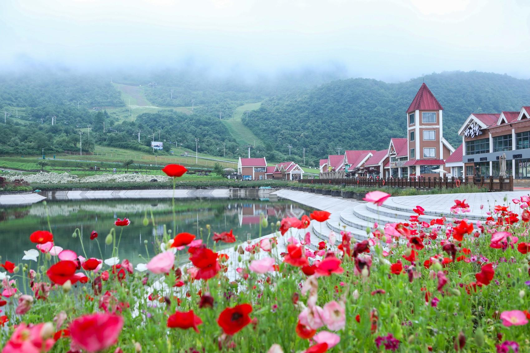 雪山攻略成都旅游西岭怎么去_成都西岭雪山旅游攻略_成都景点西岭雪山