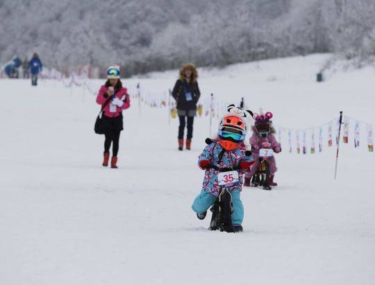 雪山攻略成都旅游西岭怎么去_成都景点西岭雪山_成都西岭雪山旅游攻略