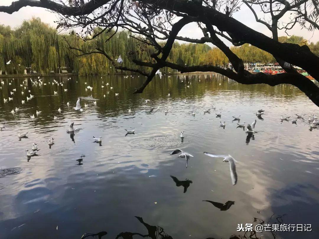 白水台旅游攻略_白水台一日游_白水台景区