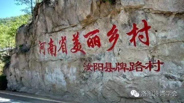 河南白云山旅游攻略_河南白云山旅游攻略_河南白云山旅游攻略
