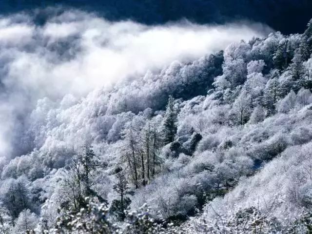 河南白云山旅游攻略_河南白云山旅游攻略_河南白云山旅游攻略