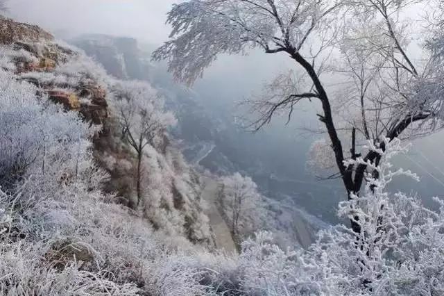 河南白云山旅游攻略_河南白云山旅游攻略_河南白云山旅游攻略