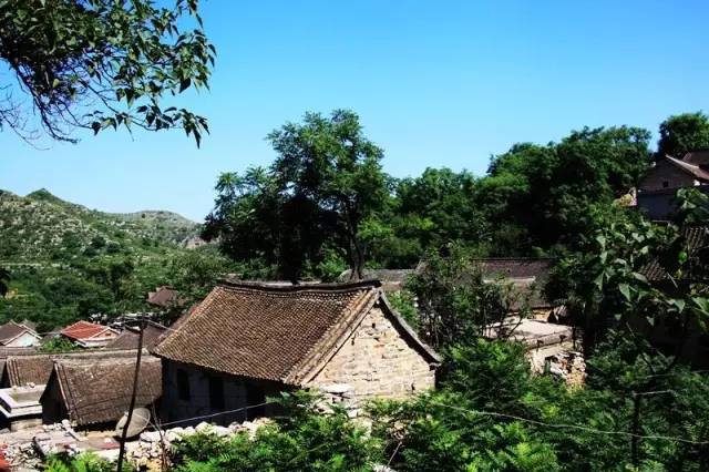 河南白云山旅游攻略_河南白云山旅游攻略_河南白云山旅游攻略