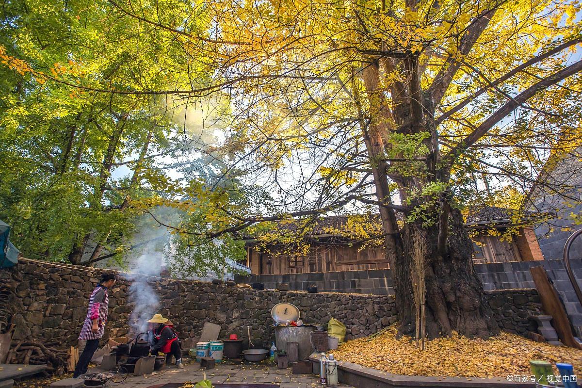 瑞丽腾冲好玩吗_瑞丽腾冲旅游攻略_瑞丽腾冲旅游攻略自助游