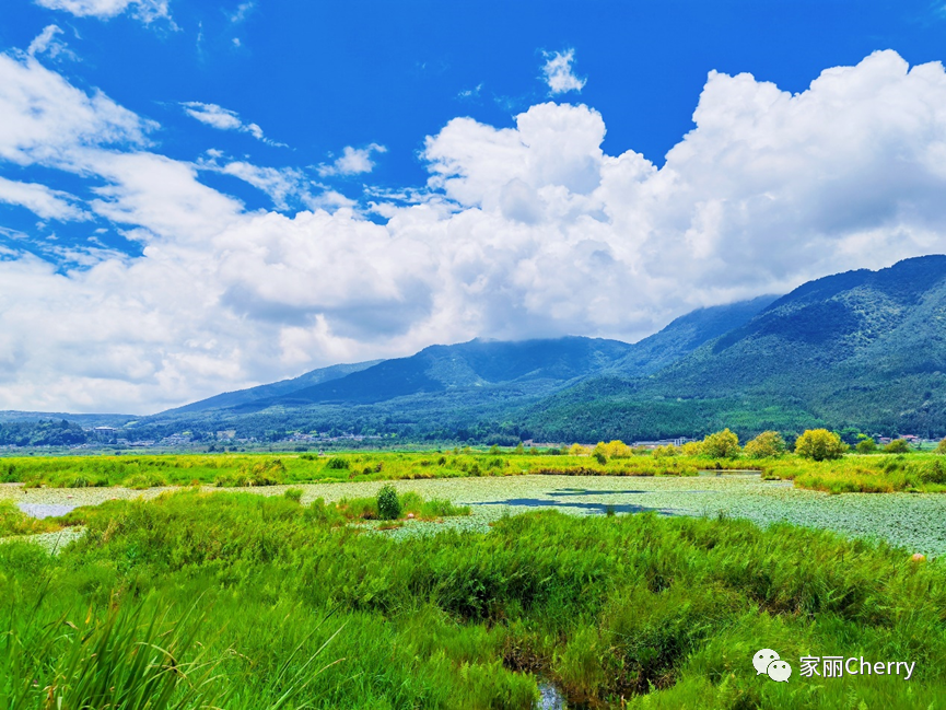 云南旅游瑞丽腾冲_腾冲瑞丽旅游线路_瑞丽腾冲旅游攻略