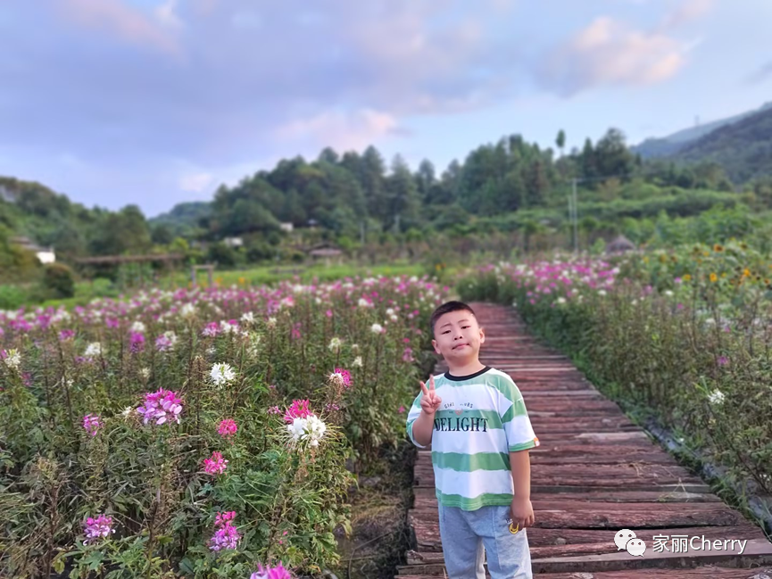 瑞丽腾冲旅游攻略_腾冲瑞丽旅游线路_云南旅游瑞丽腾冲