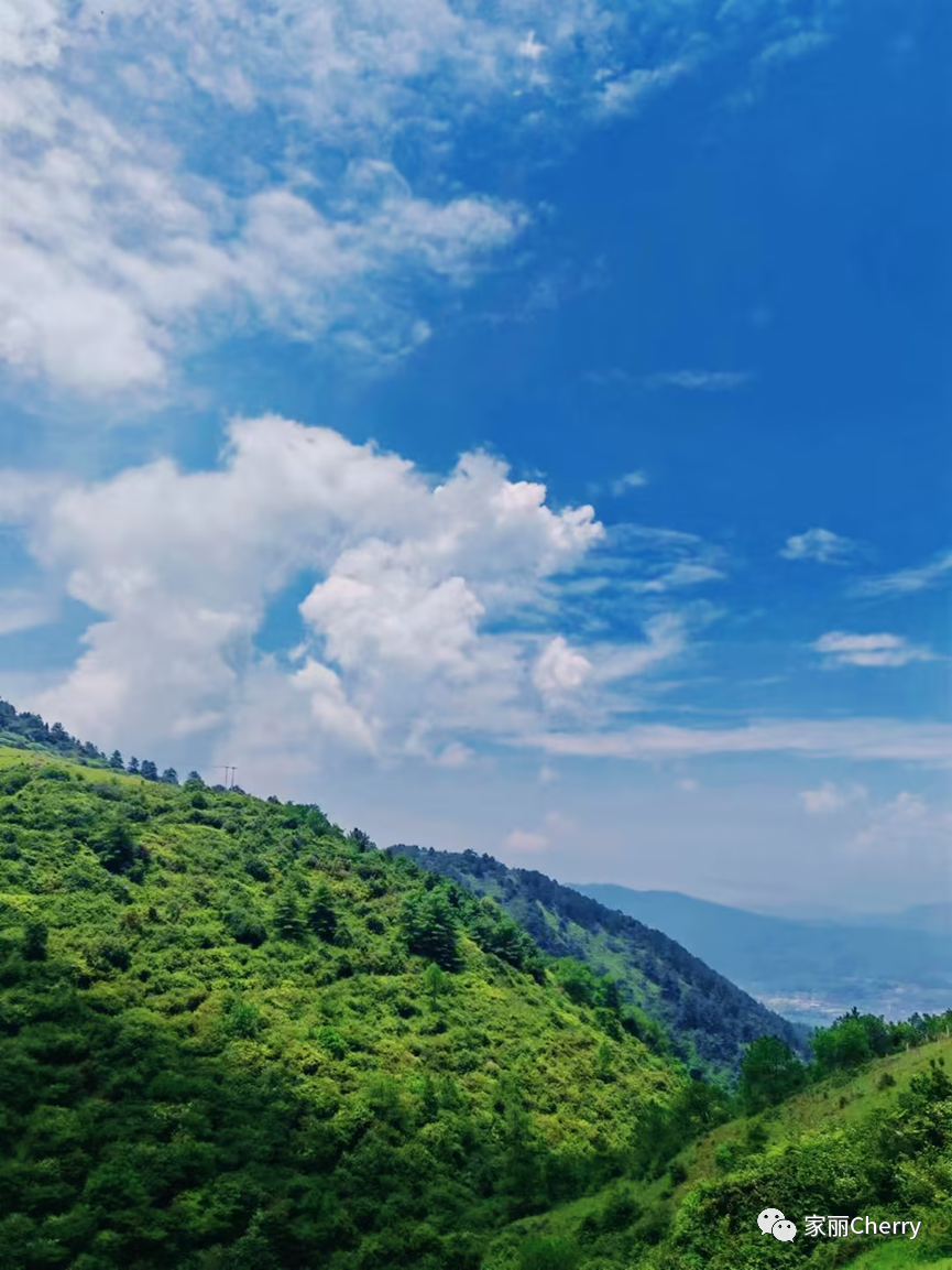 瑞丽腾冲旅游攻略_腾冲瑞丽旅游线路_云南旅游瑞丽腾冲