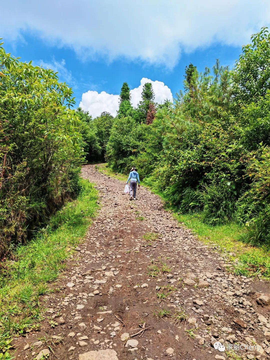 腾冲瑞丽旅游线路_云南旅游瑞丽腾冲_瑞丽腾冲旅游攻略