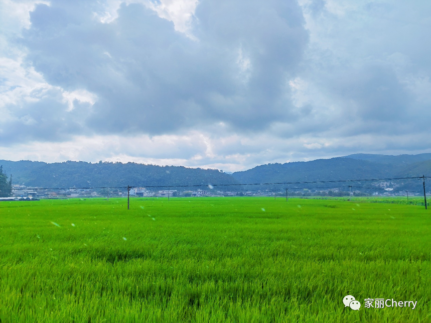 腾冲瑞丽旅游线路_云南旅游瑞丽腾冲_瑞丽腾冲旅游攻略