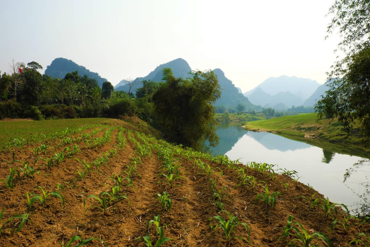 河内旅游攻略_河内攻略自由行_河内旅游不可或缺的风景