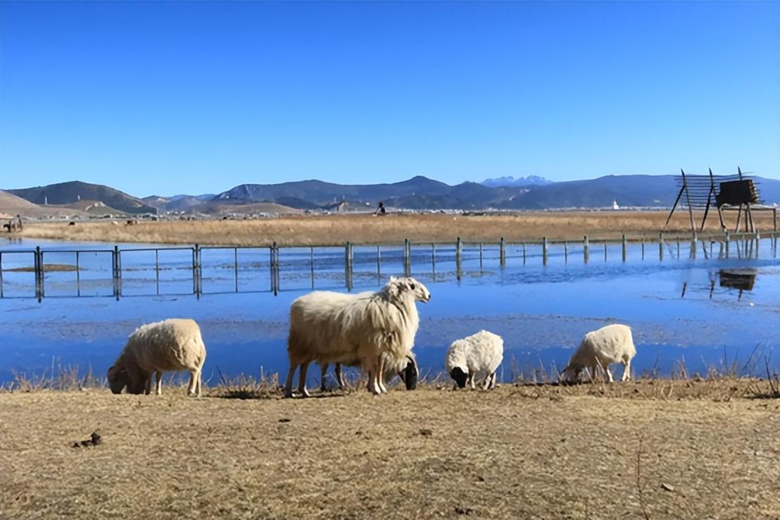 1月香格里拉_6月香格里拉旅游攻略_一月香格里拉旅游