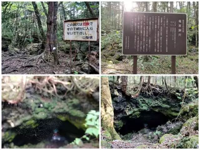 日本富士山旅游攻略视频_日本富士山旅游攻略_日本富士山旅游线路