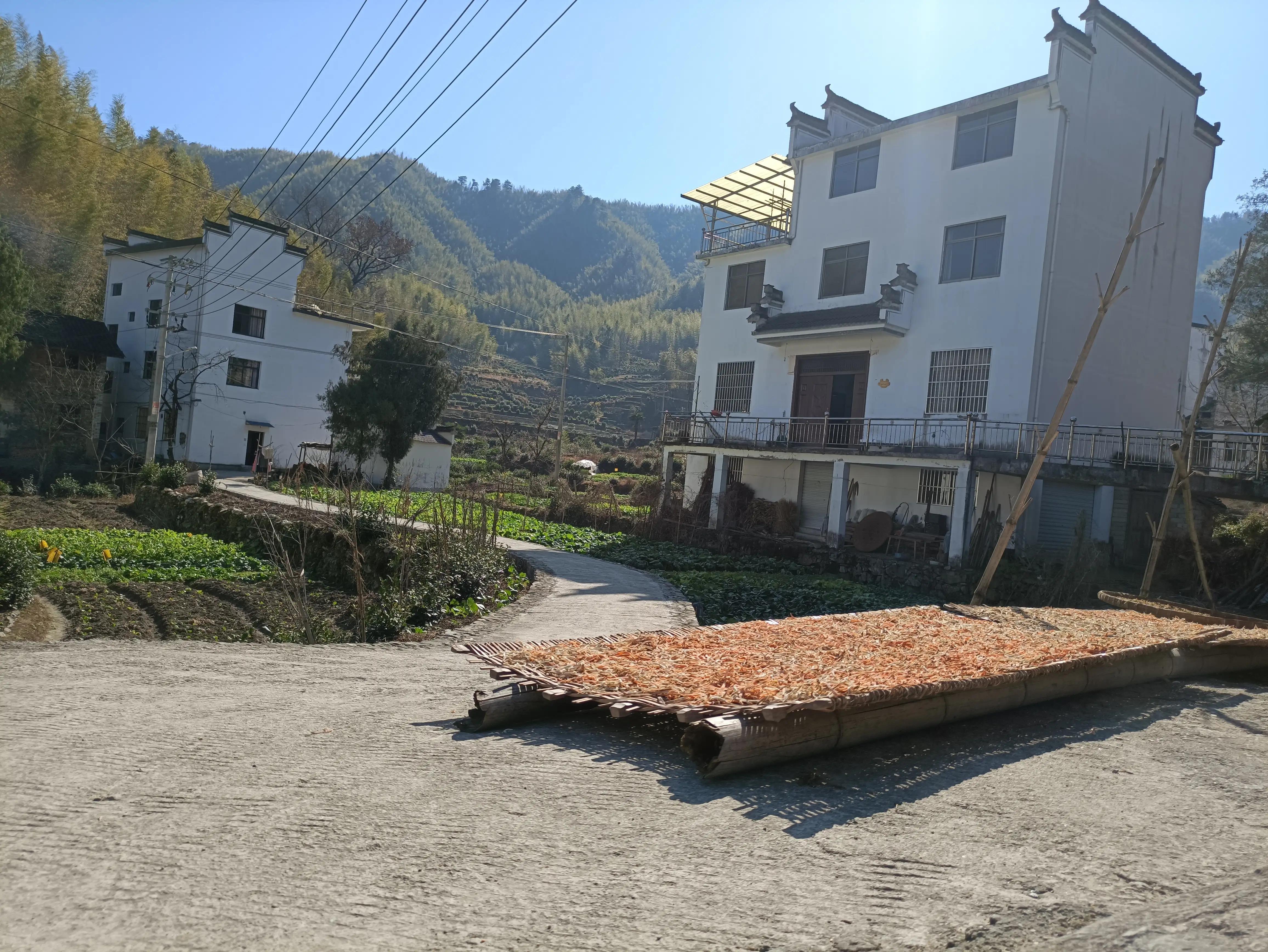 墨脱旅游攻略_墨脱旅游线路_墨脱旅游须知