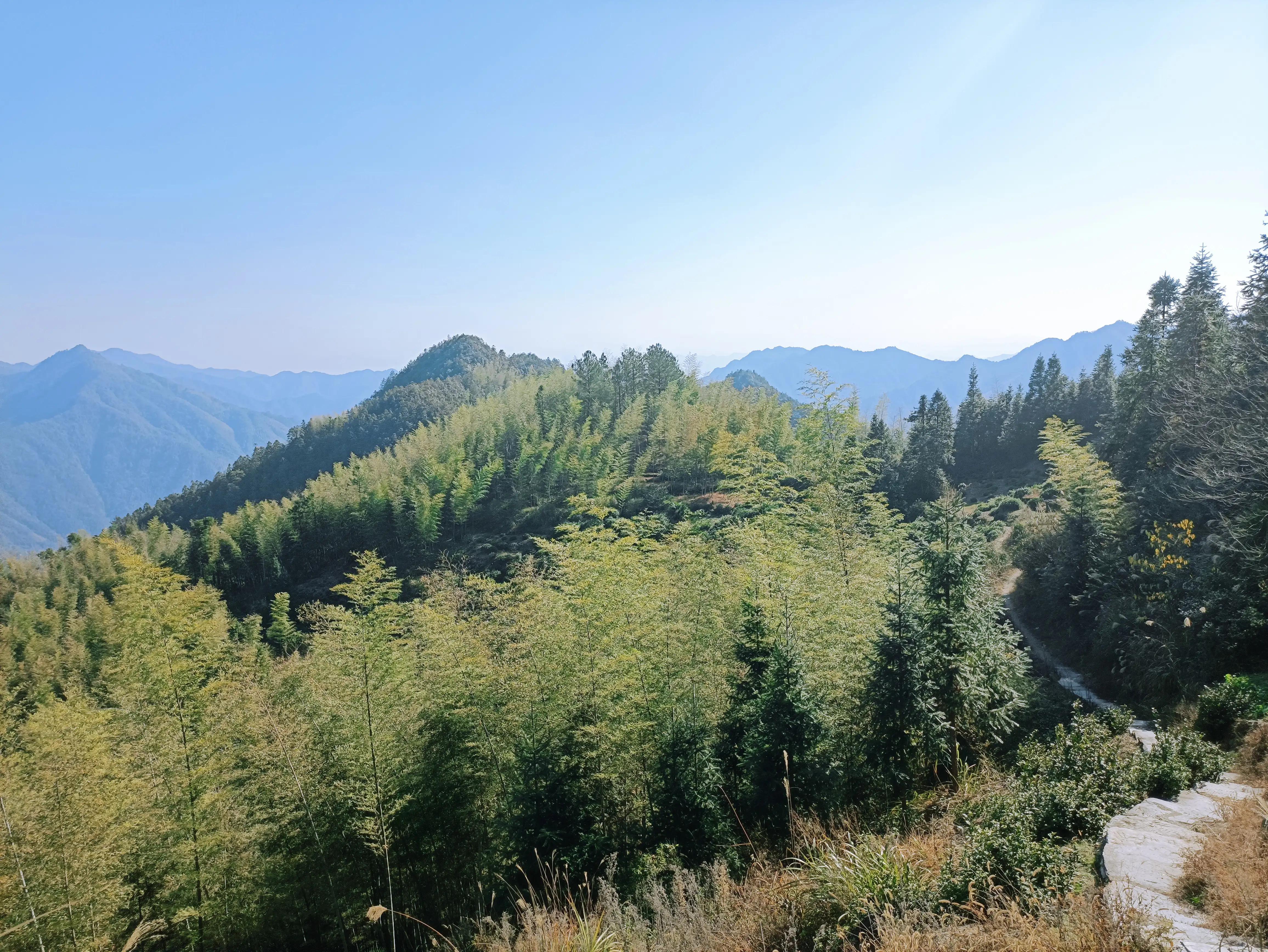 墨脱旅游攻略_墨脱旅游须知_墨脱旅游线路