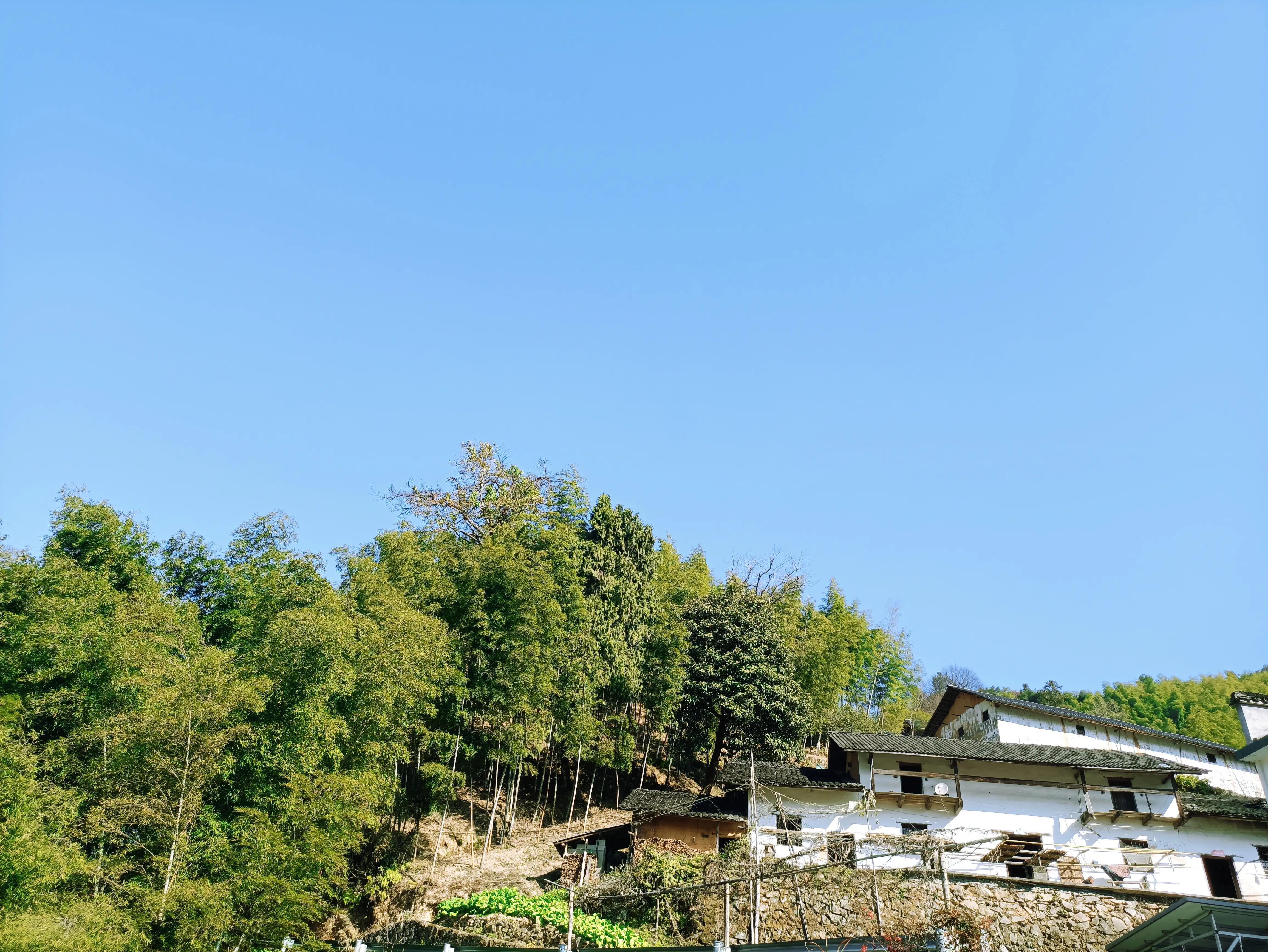 墨脱旅游线路_墨脱旅游须知_墨脱旅游攻略