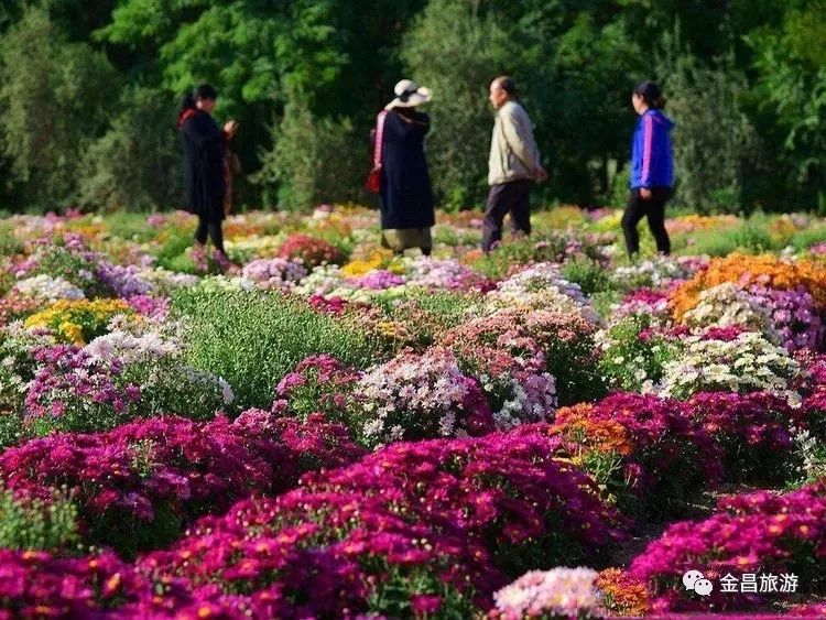 甘肃金昌哪里好玩_甘肃金昌旅游攻略_甘肃金昌景点