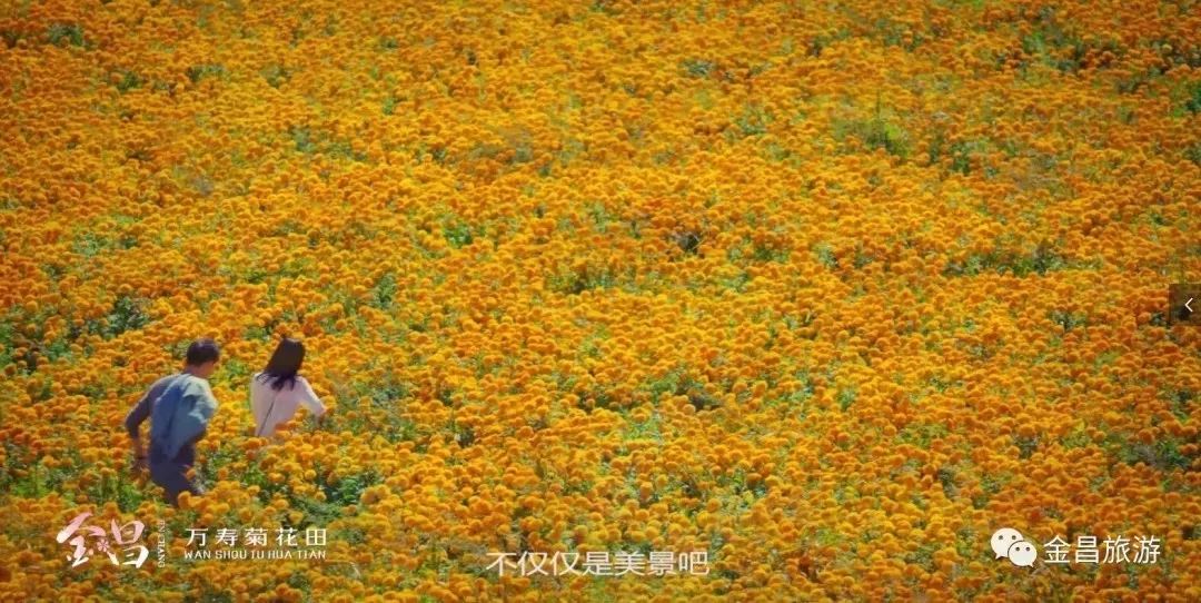 甘肃金昌旅游攻略_甘肃金昌景点_甘肃金昌哪里好玩