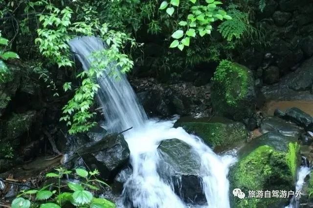 绍兴到西塘旅游攻略_绍兴去西塘怎么坐高铁_绍兴到西塘开车要多久