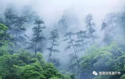 绍兴到西塘开车要多久_绍兴去西塘怎么坐高铁_绍兴到西塘旅游攻略
