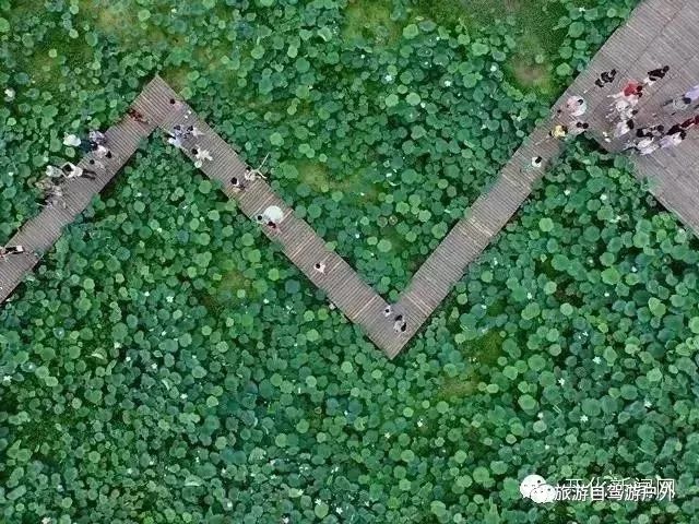 绍兴到西塘开车要多久_绍兴去西塘怎么坐高铁_绍兴到西塘旅游攻略