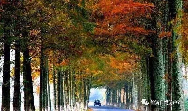 绍兴到西塘旅游攻略_绍兴到西塘开车要多久_绍兴去西塘怎么坐高铁