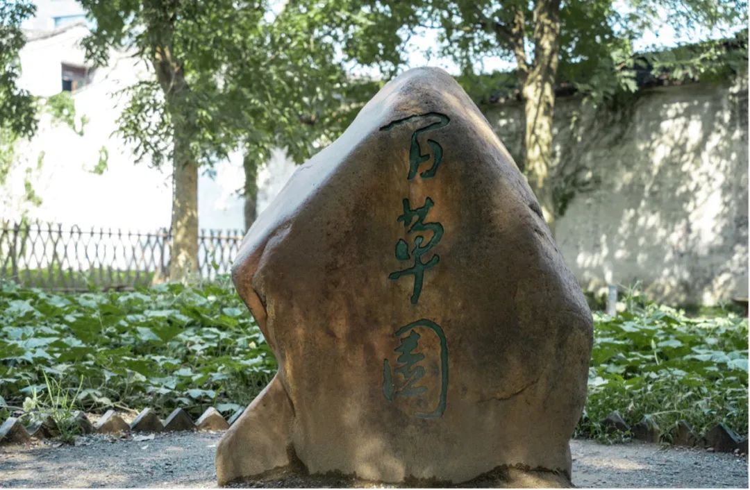 绍兴去西塘古镇怎么走_绍兴到西塘旅游攻略_绍兴去西塘坐什么去最方便