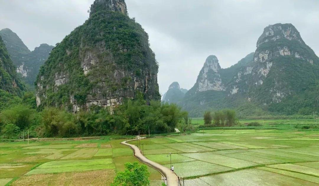 漓江小岛_漓江涠洲岛旅游攻略_漓江岛在哪