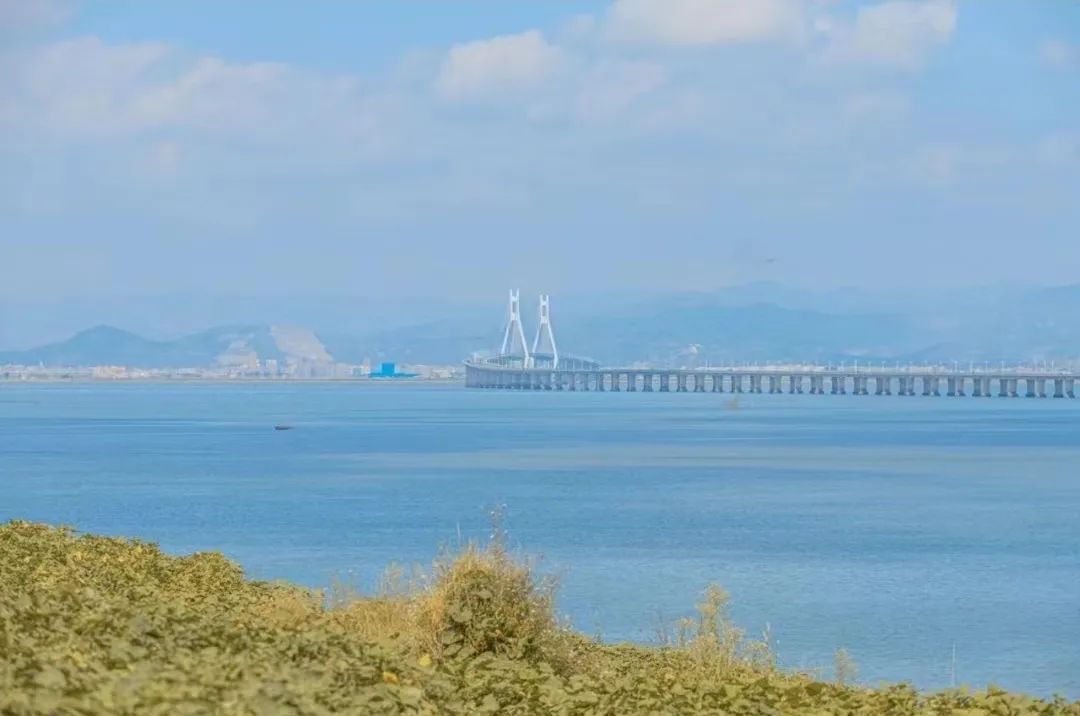 鹿西岛旅游攻略_鹿西岛游记_鹿西岛自驾游