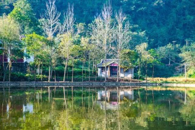 漓江涠洲岛旅游攻略_漓江小岛_漓江景区旅游攻略