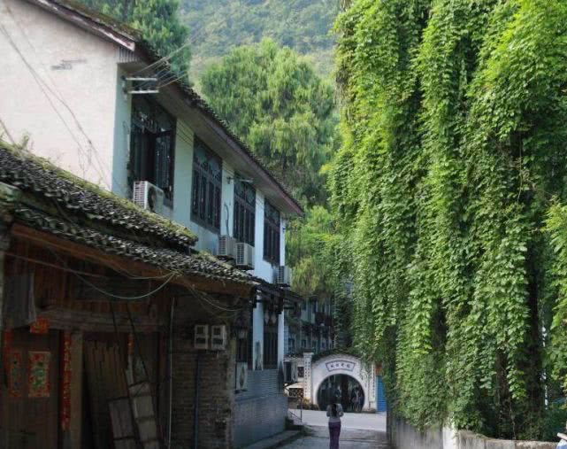 漓江景区旅游攻略_漓江小岛_漓江涠洲岛旅游攻略