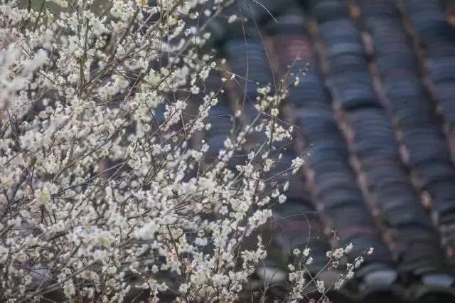 漓江景区旅游攻略_漓江小岛_漓江涠洲岛旅游攻略