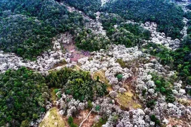 漓江小岛_漓江景区旅游攻略_漓江涠洲岛旅游攻略