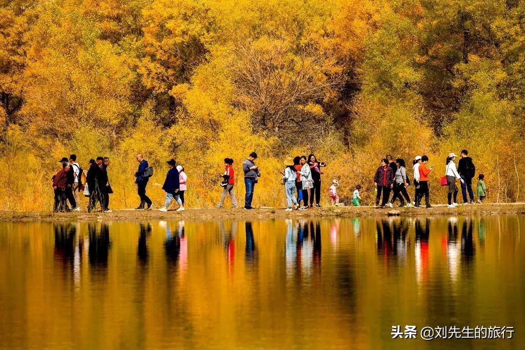 额济纳旗自由行攻略_额济纳旗旅游官方网站_额济纳旗旅游攻略