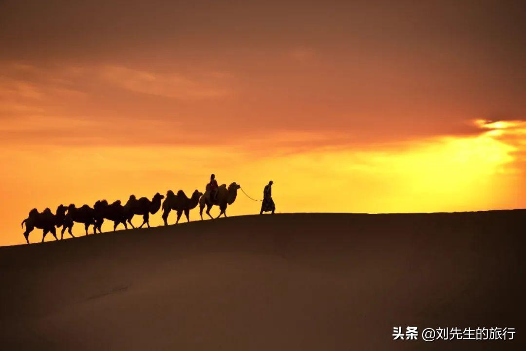 额济纳旗旅游攻略_额济纳旗自由行攻略_额济纳旗旅游官方网站