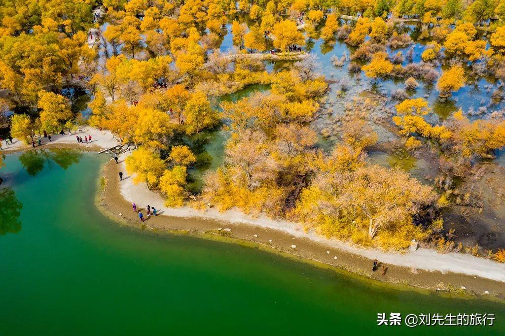 额济纳旗旅游攻略_额济纳旗旅游官方网站_额济纳旗自由行攻略
