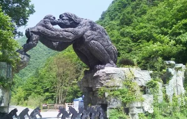 神龙架的景点介绍_神龙架在哪儿_神龙架天生桥旅游攻略