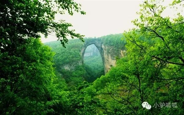 神龙架在哪儿_神龙架天生桥旅游攻略_神龙架的景点介绍