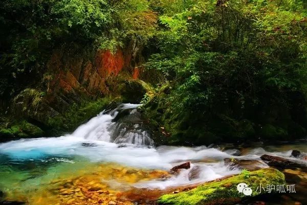 神龙架天生桥旅游攻略_神龙架的景点介绍_神龙架在哪儿